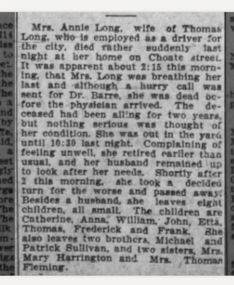 Newspaper obituary for Mrs. Annie Long, née Sullivan