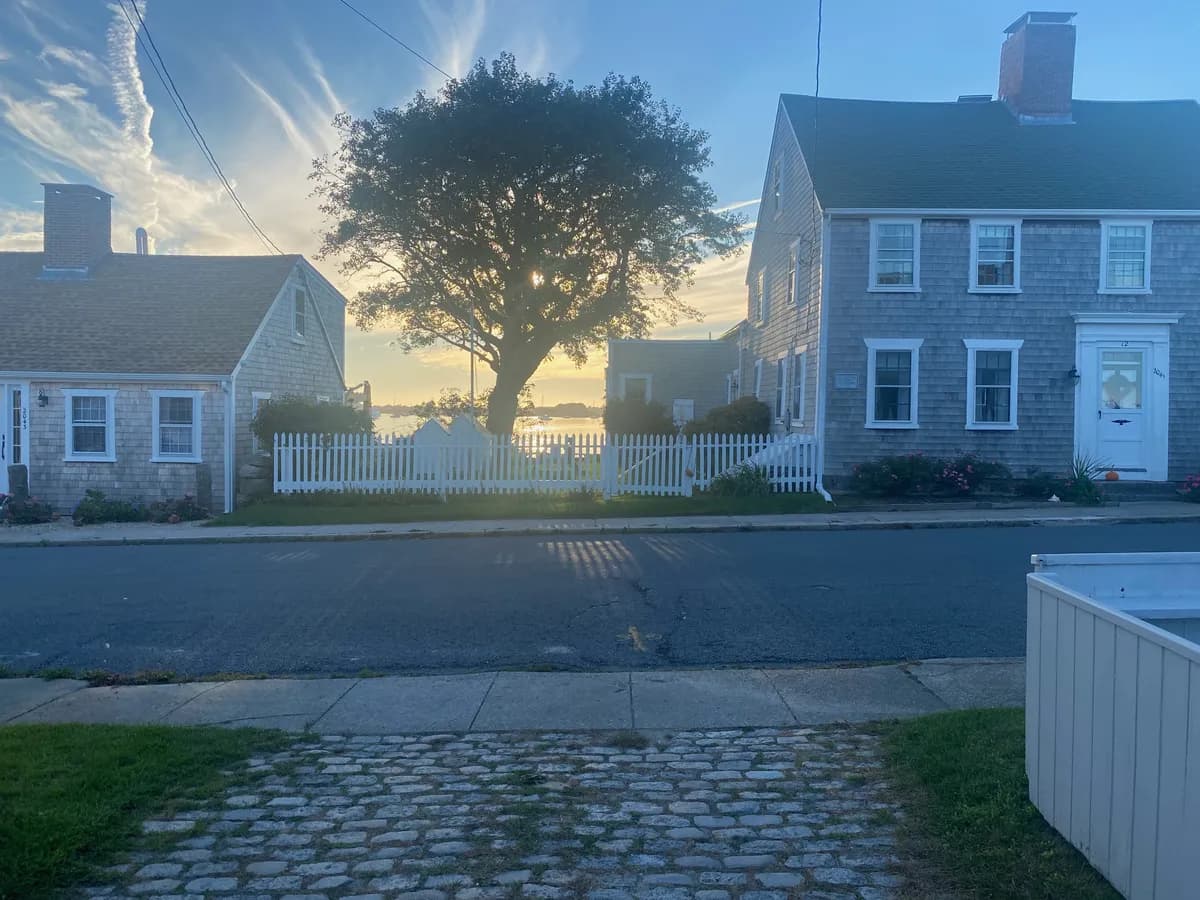 Westport Point at dusk — tree silhouette between shingle houses, harbor glow