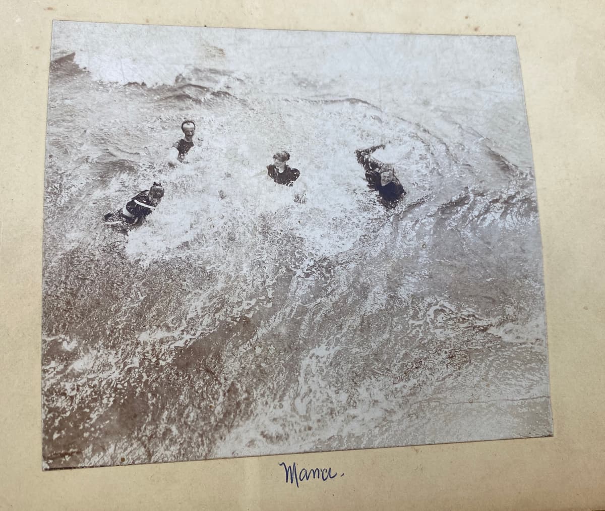 Swimming in the surf, on its mount labeled Mama
