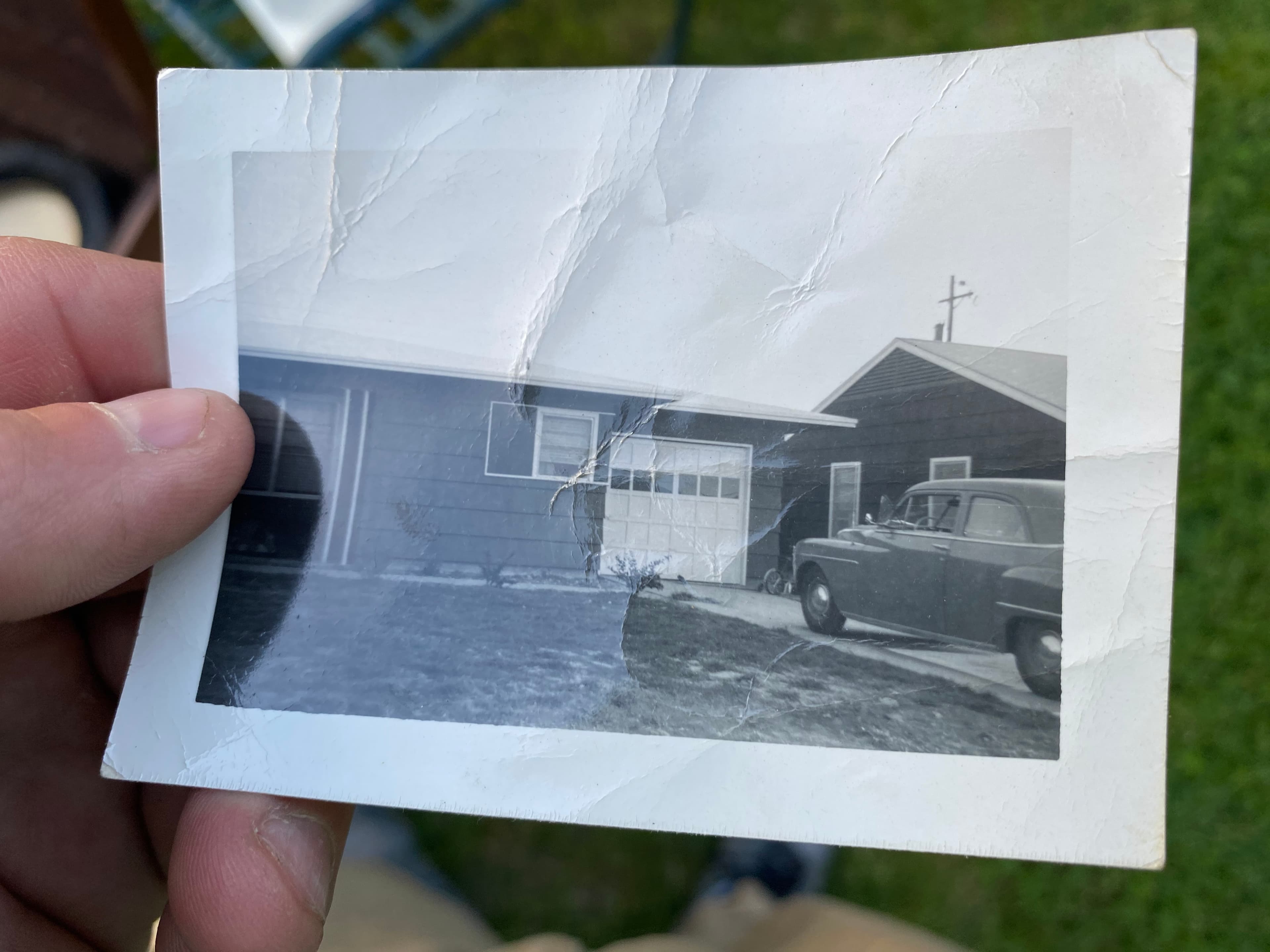 Warren-Winter collection — IMG_5162.jpeg