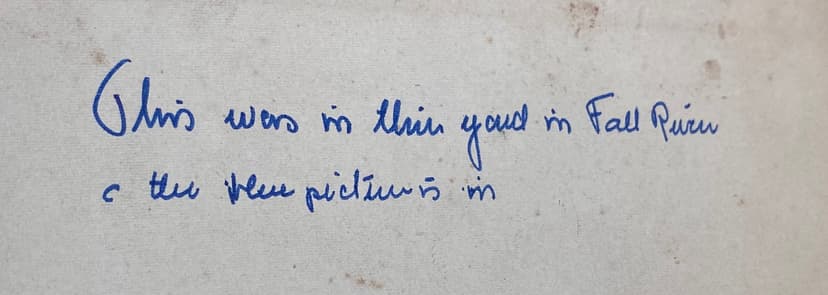 Back of great-grandmother garden photo